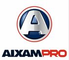 AIXAM Professional